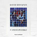Cameraworks Original Poster by David Hockney