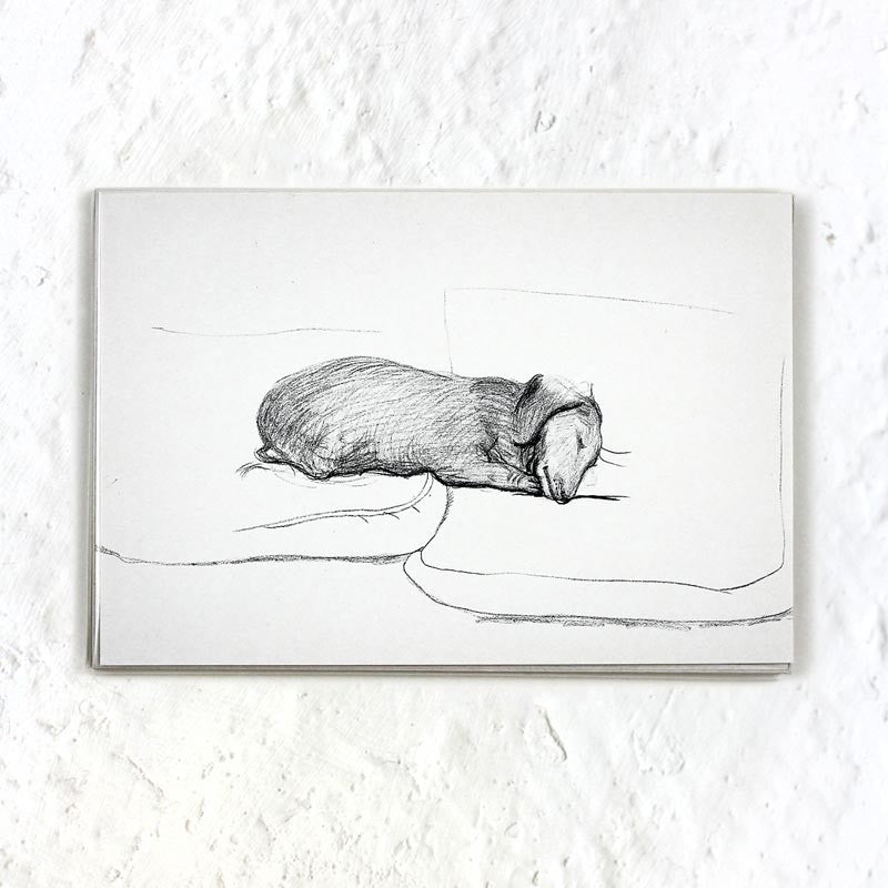 Dog Line Drawing Postcard Pack (x10) by David Hockney