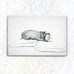 Dog Line Drawing Postcard Pack (x10) by David Hockney