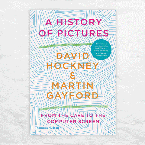 A History of Pictures - From the Cave to the Computer Screen (paperback)