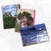 Paul Hockney Greetings Card Pack (x3)
