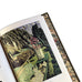 Pebbles on A Beach - signed , numbered limited edition book by Simon Palmer