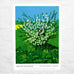 30th April 2011 (The Arrival of Spring) by David Hockney
