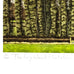 The Ivy Wood Plantation - Signed Limited Edition Print by Simon Palmer