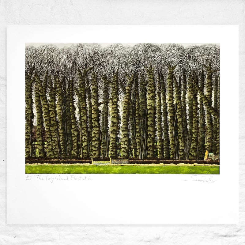 The Ivy Wood Plantation - Signed Limited Edition Print by Simon Palmer