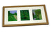 Postcard Frame (3 images / Landscape)