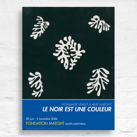Voile de Calice Noir by Henri Matisse - 2006 exhibition poster