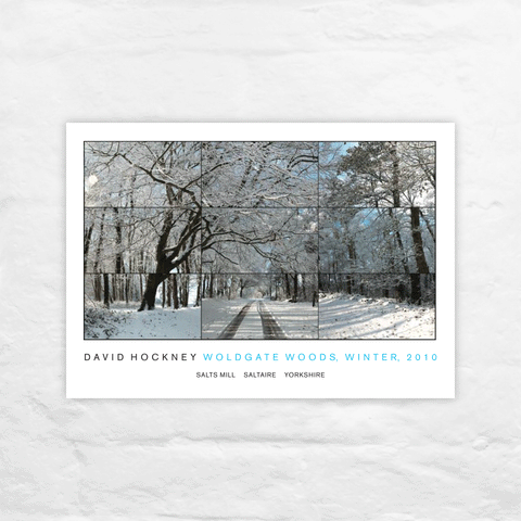 Woldgate Woods, Winter, 2010 postcards by David Hockney - pack of 6 