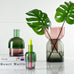 Flip Vase by Cloudnola - Large, Green & Pink