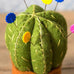 Corinne Lapierre Cactus Pincushion Felt Cloth Kit